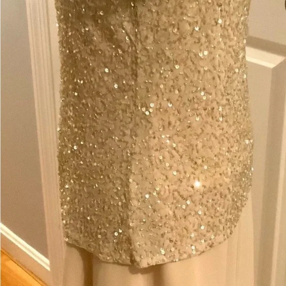 ♥️Lovely J Kara Gold Sequin Maxi Dress. Light gold/beige color. Size 12 - Picture 7 of 9